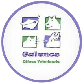 Galenos Logo